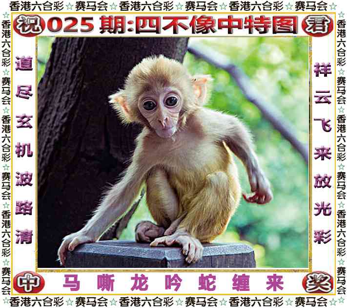 025期：四不像中特图，图片玄机- 天下彩票大全