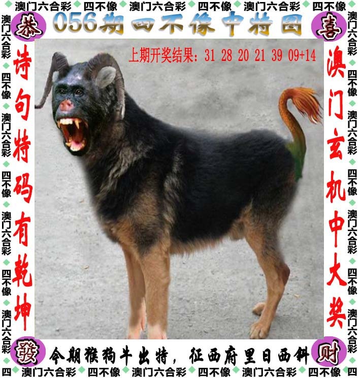 香港满堂红论坛，056期四不像