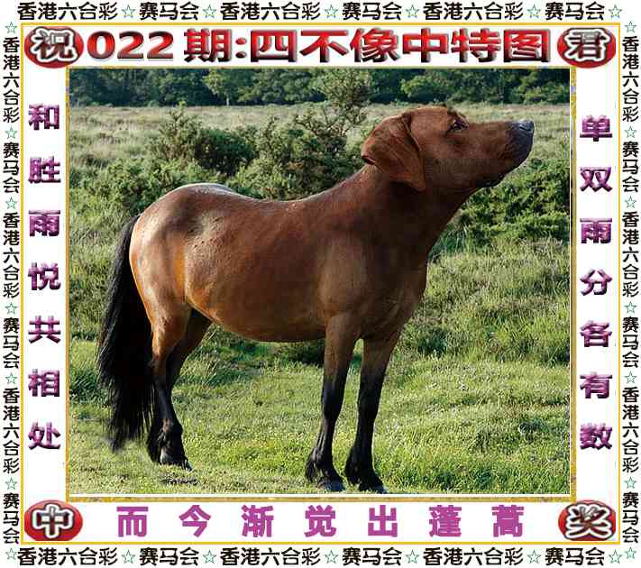 022期：四不像中特图，葡京赌侠 - 天空彩票