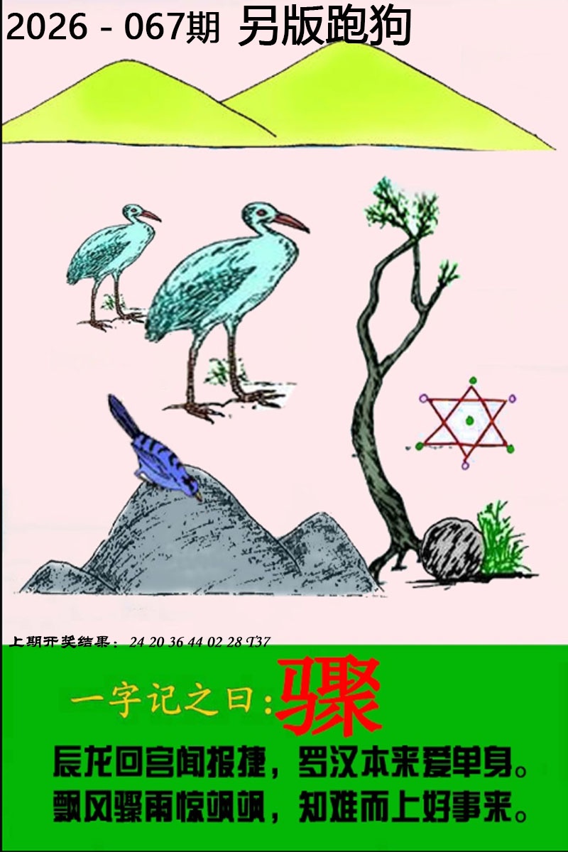 2026澳门资料库：067期另版跑狗图