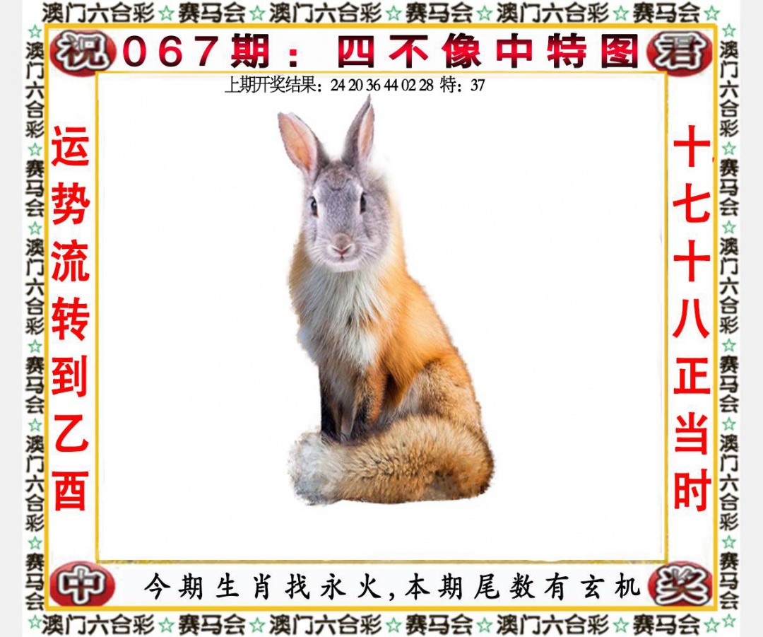 067期：四不像中特图，权威资料- 天下彩票大全