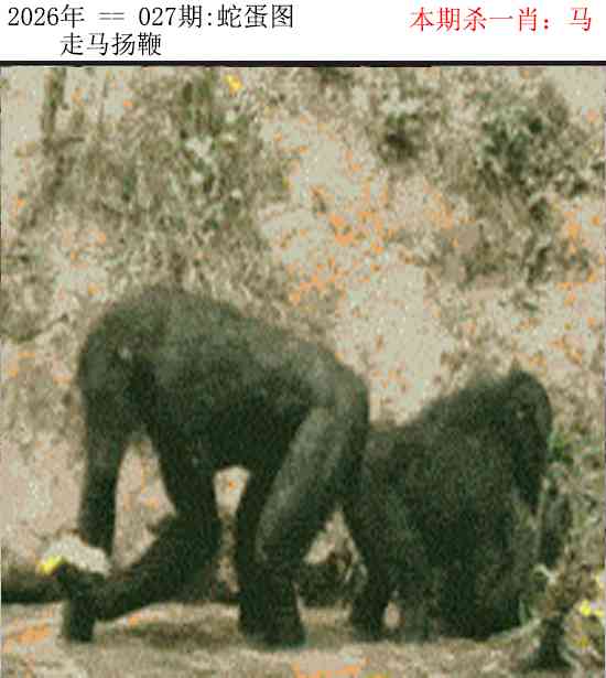 027期：正版蛇蛋图，广州传真中特诗 - 马经论坛