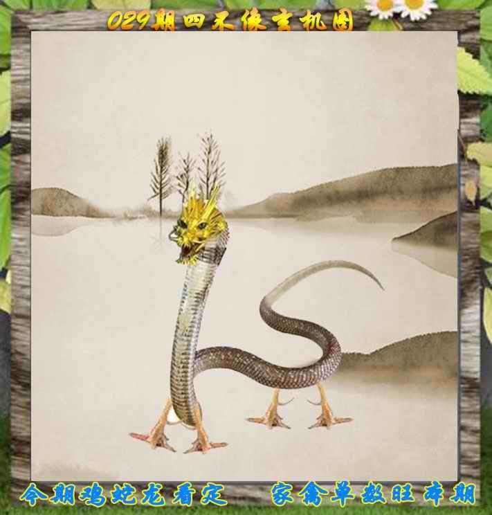 今晚澳门特码：029期四不像特别版