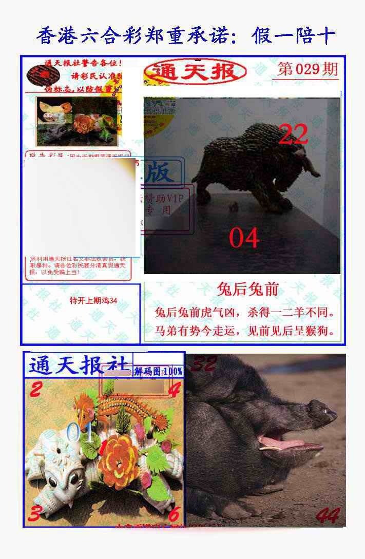 49图库029期：假一陪十通天报
