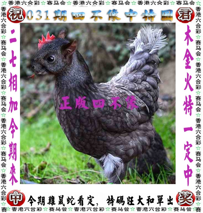 六合彩新报跑狗图-031期正版四不像
