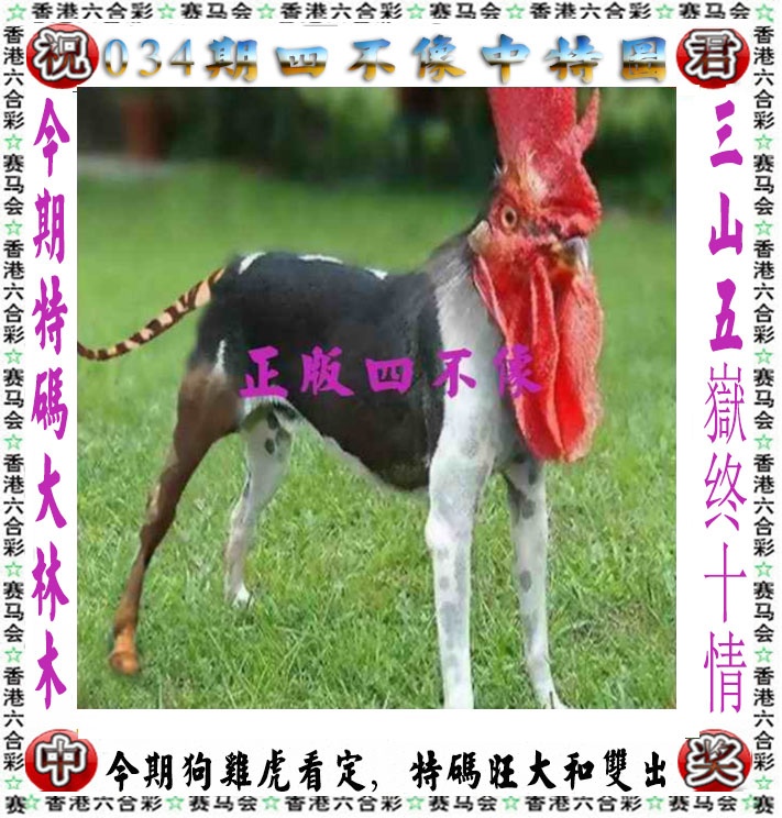 澳门开奖直播：034期正版四不像