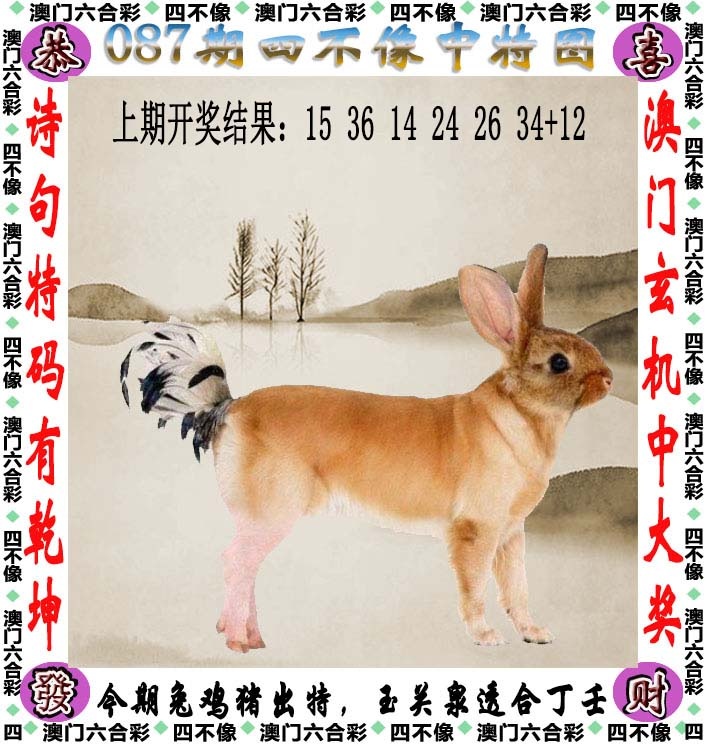 澳门正版传真解密：087期四不像