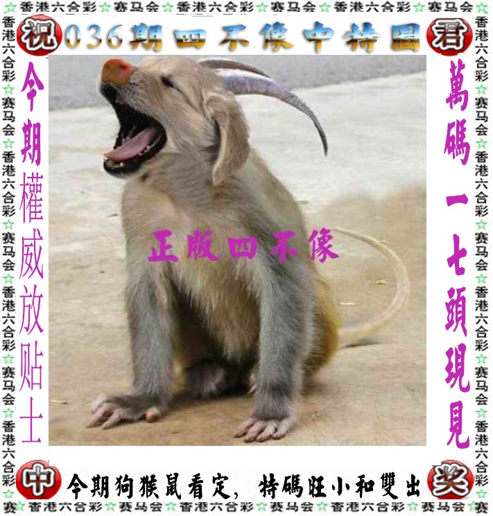 天下彩036期：正版四不像