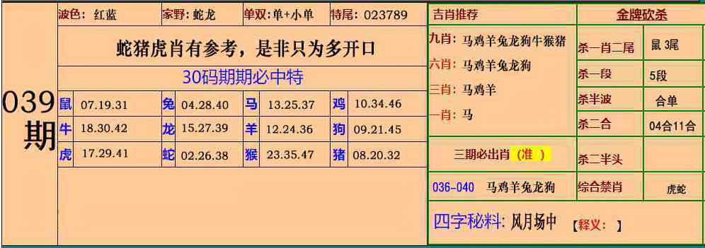 039期小鱼儿：小鱼儿30码期期中