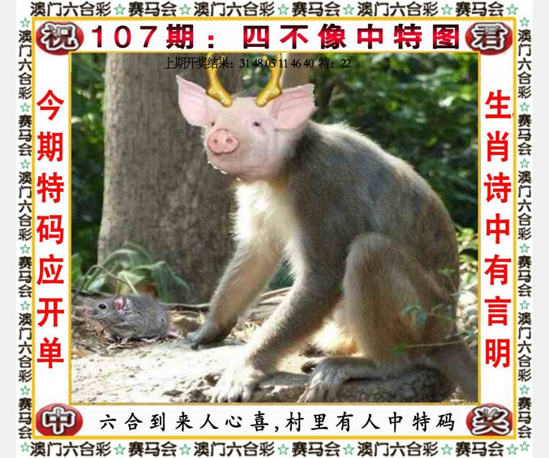 107期天下彩_免费资料大全：四不像中特图