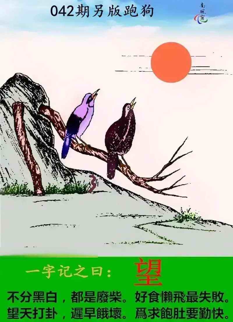 灵感数字诗：042期另版跑狗