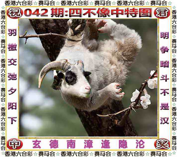 042期49免费资料：四不像中特图