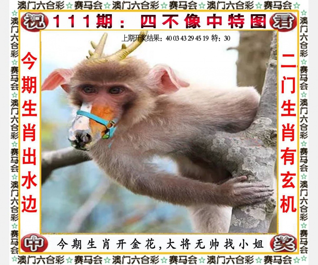澳门六合彩马会传真：111期四不像中特图