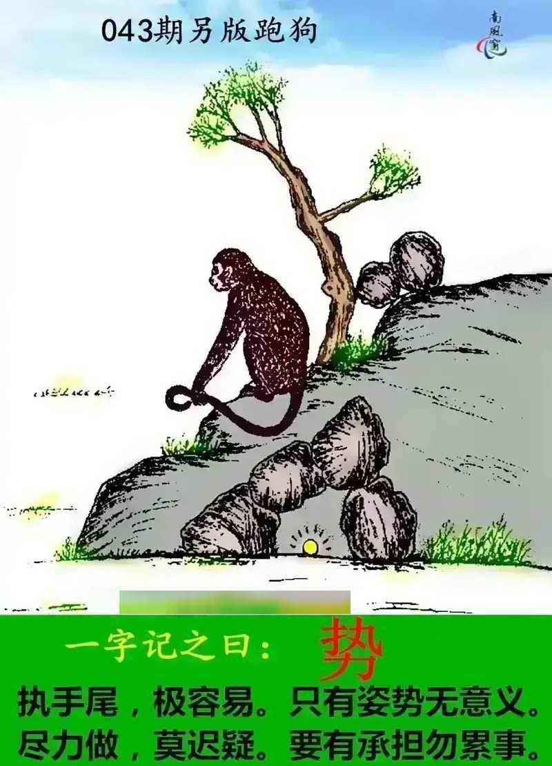 香港挂牌彩图：043期另版跑狗
