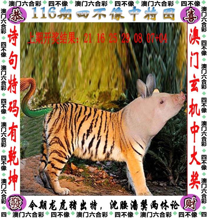 澳门六合彩官方网站：116期四不像