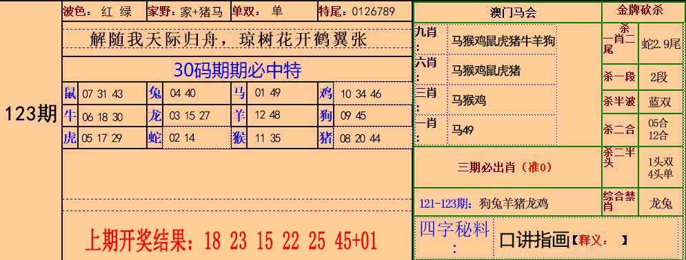 全网最牛团队123期：30码中特