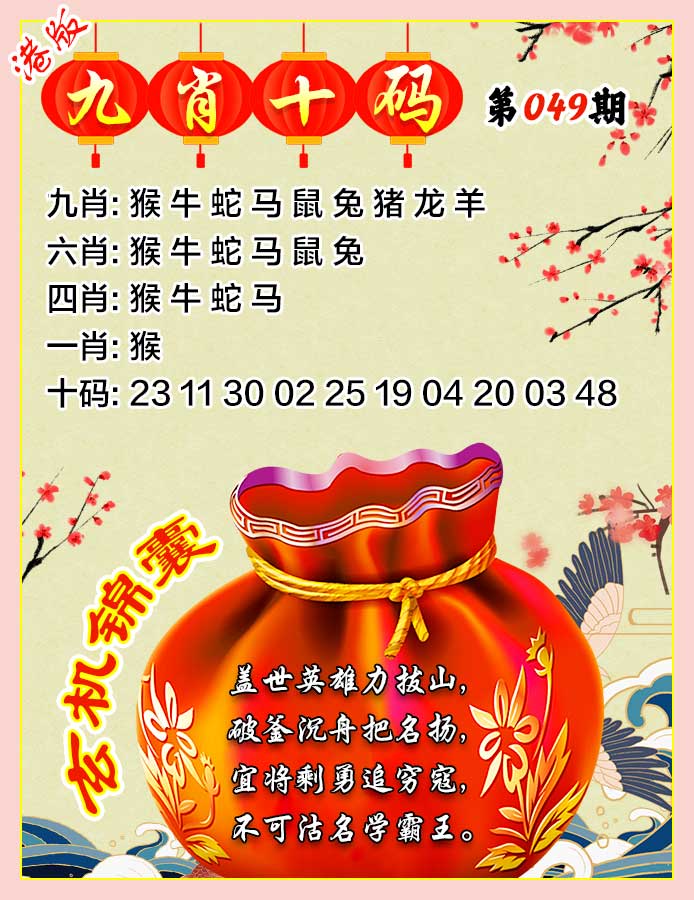 全网最准049期：九肖十码