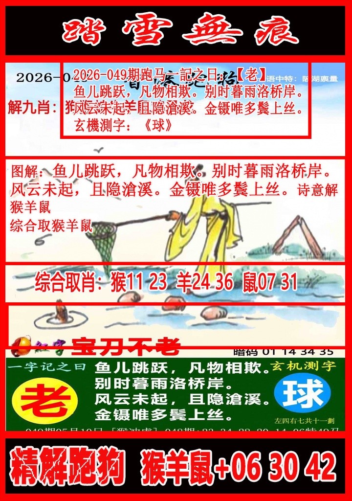 六合资源049期：踏雪无痕解跑狗
