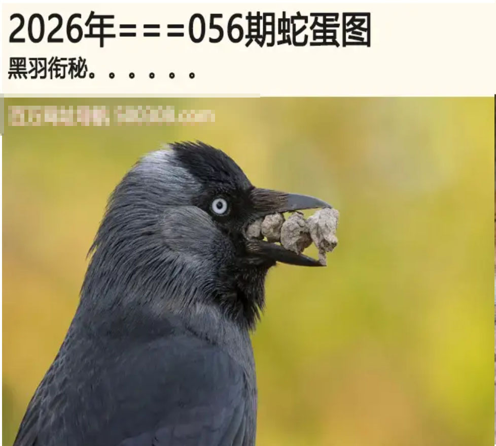 澳蛇蛋图论坛：056期另版蛇蛋图
