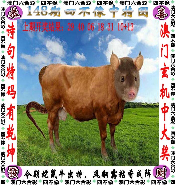 118kj开奖现场：148期四不像