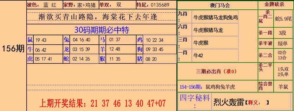 澳门王中王156期：30码中特