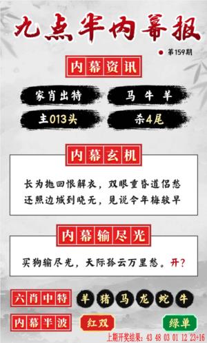 天下彩159期九点半内幕报