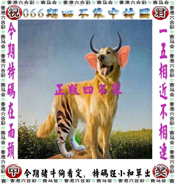 四不像论坛：066期正版四不像