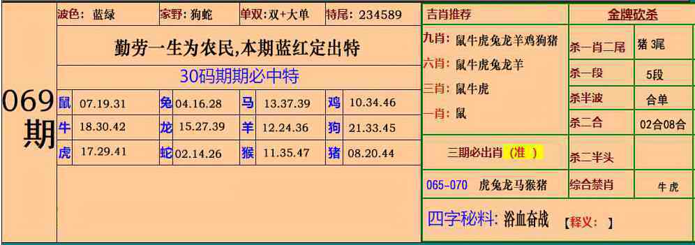 小鱼儿069期：小鱼儿30码期期中