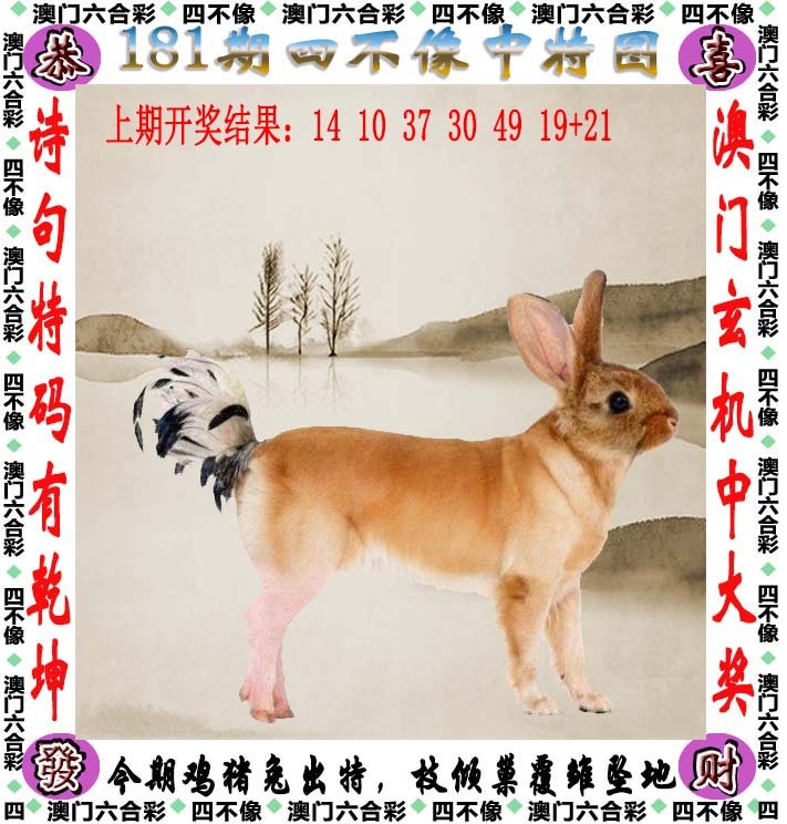 澳门跑狗论坛：181期四不像