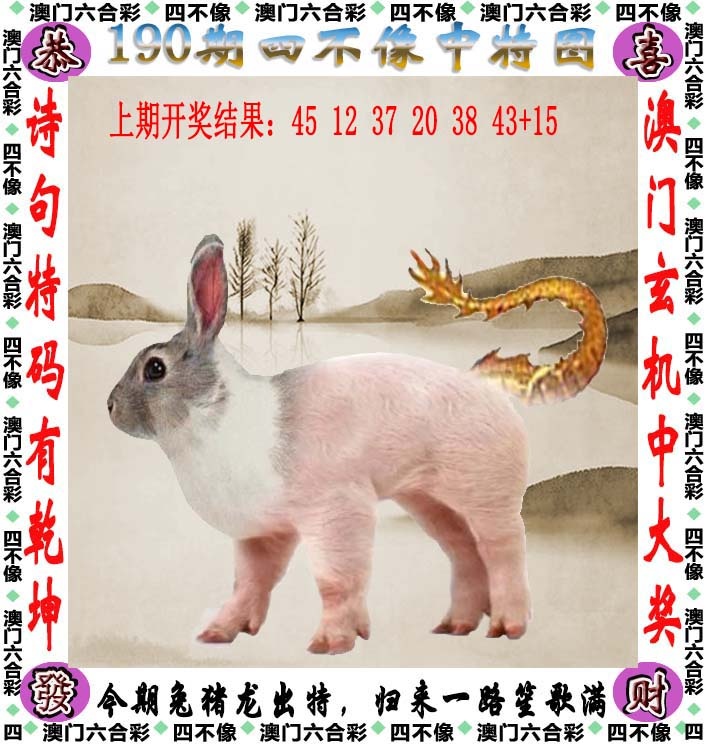 澳门跑狗论坛：190期四不像