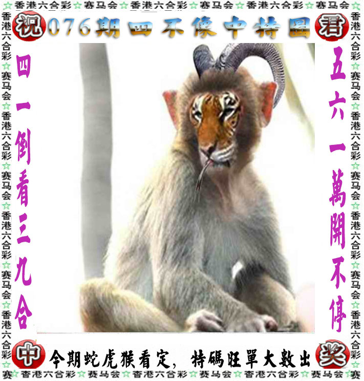 最快开奖现场：076期正版四不像