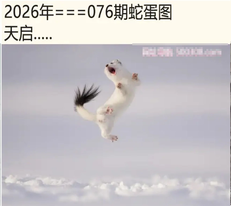 小鱼儿076期：另版蛇蛋图
