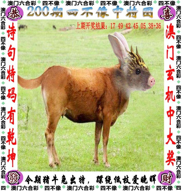 澳门新彩200期：四不像