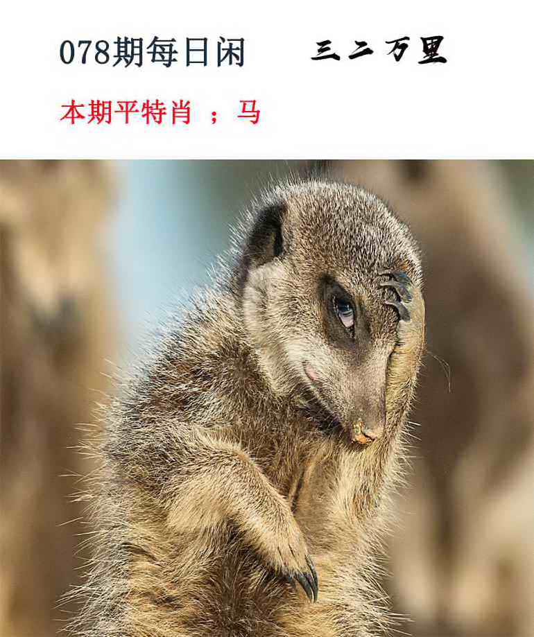 金多宝传真：078期每日闲情