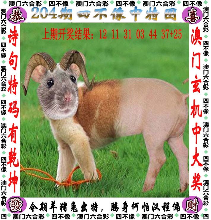 澳门跑狗论坛：204期四不像
