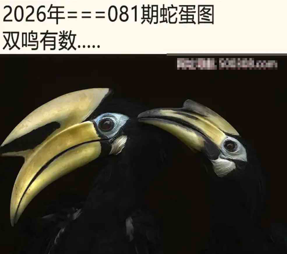 香港跑狗论坛081期：另版蛇蛋图
