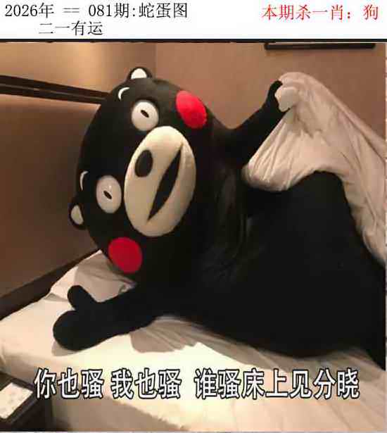 聚财堂081期：正版蛇蛋图