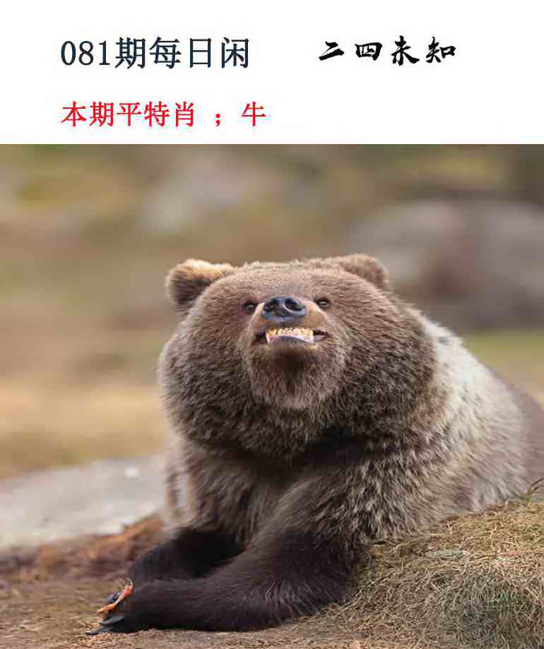 金多宝传真081期：每日闲情