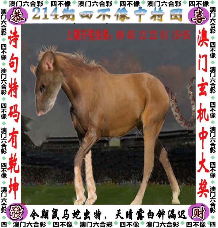 凤凰天机高手坛：214期四不像