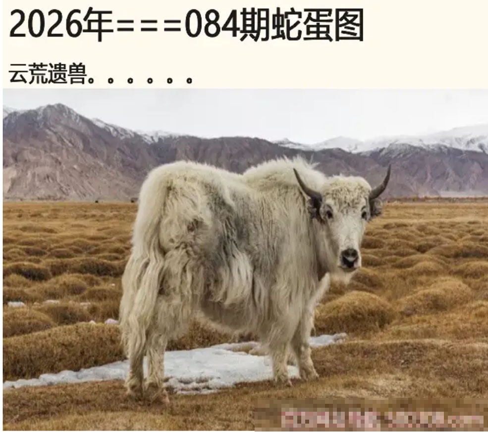 跑狗彩图084期：另版蛇蛋图