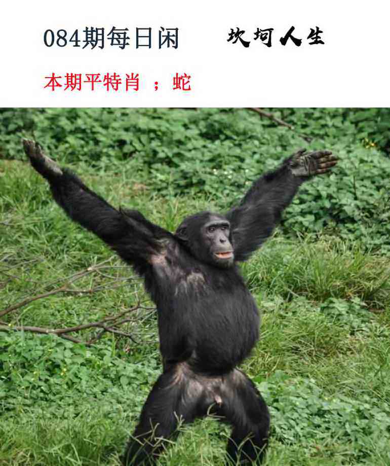 香港彩色图库084期每日闲情