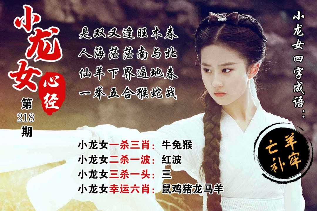铁算盘218期：小龙女心经