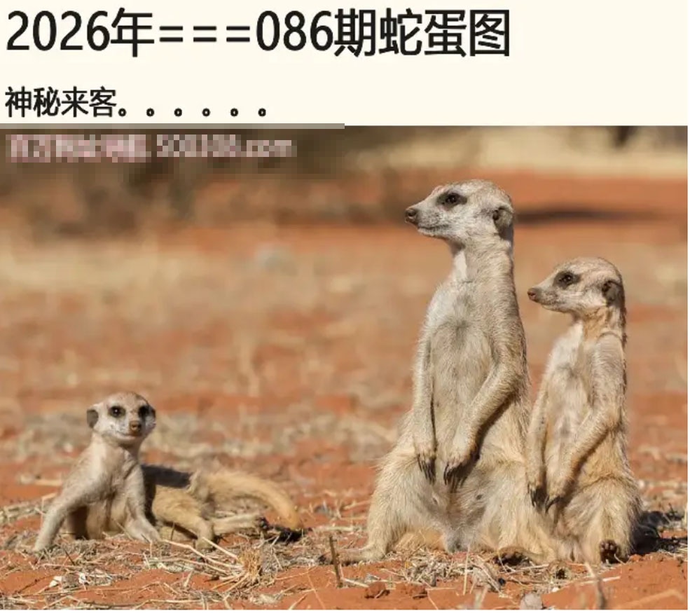 六合彩论坛086期：另版蛇蛋图