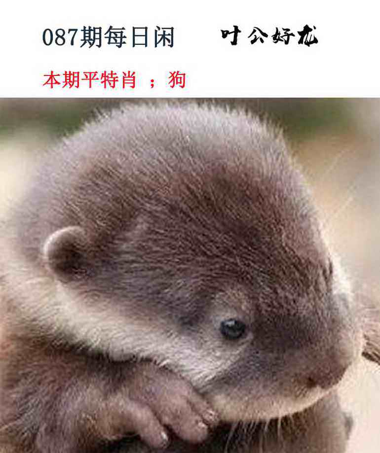 香港六合彩图纸：087期每日闲情