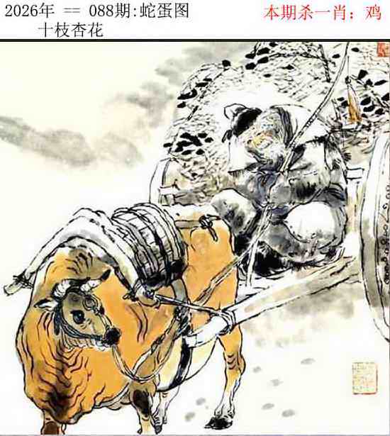六合神算：088期正版蛇蛋图