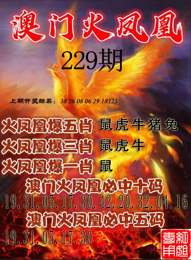 天下彩229期：火凤凰