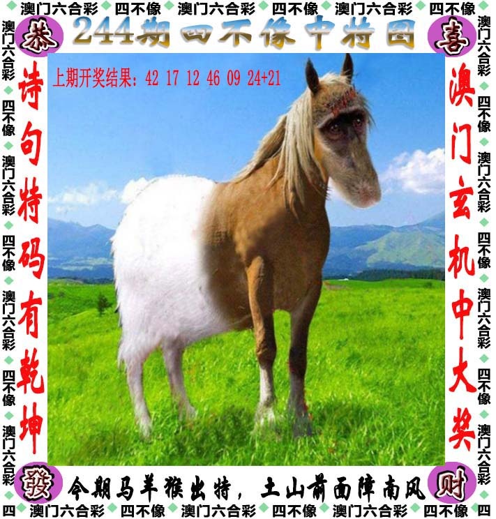 港澳百胜论坛：244期四不像