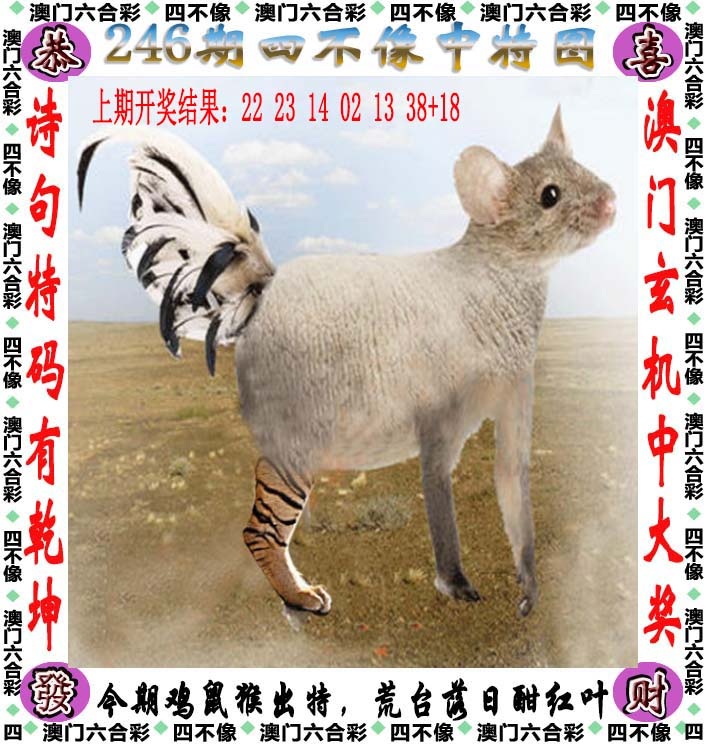 新澳门六合彩内幕特码：246期四不像