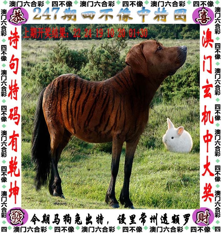 澳彩全年历史图库：247期四不像