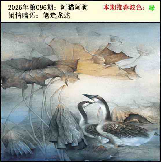香港彩色图库096期：今日闲情2
